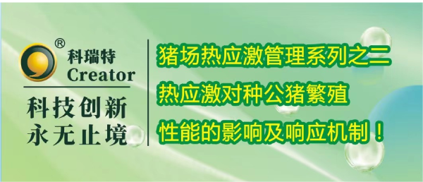 养殖技术 | 热应激对种公猪繁殖性能的影响及响应机制