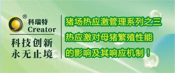 养殖技术 | 热应激对母猪繁殖性能的影响及其响应机制