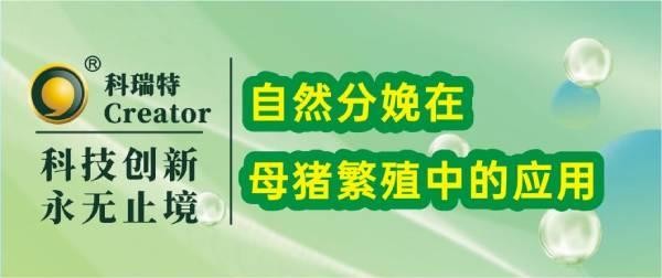 养殖技术 | 自然分娩在母猪繁殖中的应用