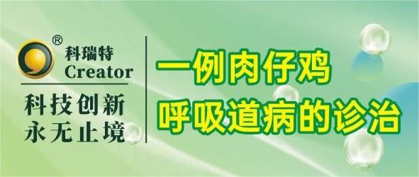 案例分析 | 一例肉仔鸡呼吸道病的诊治