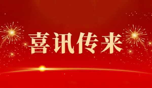 开工大吉 | 龙翔万里 乘风而上！