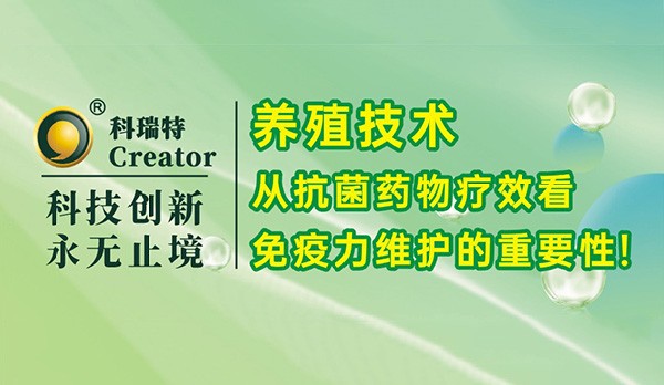 养殖技术｜从抗菌药物疗效看免疫力维护的重要性！
