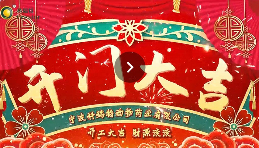 开工大吉 | 骏马开新路 宏图展八方