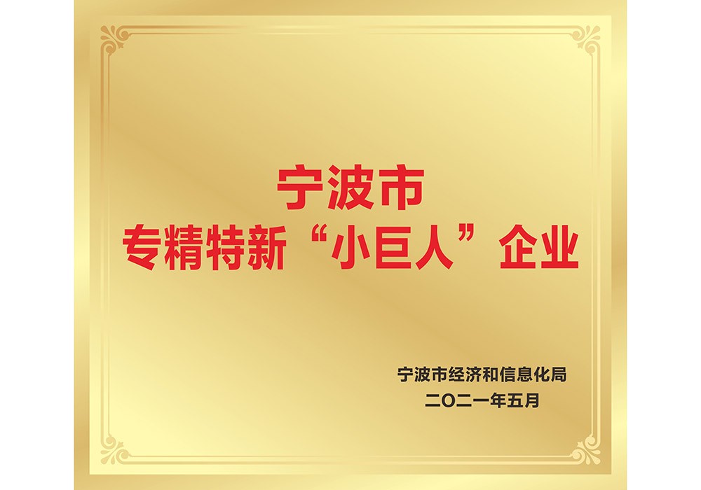 宁波市专精特新“小巨人”企业