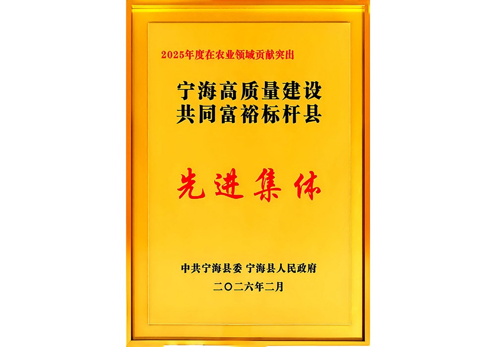 宁海高质量建设共同富裕标杆县先进集体