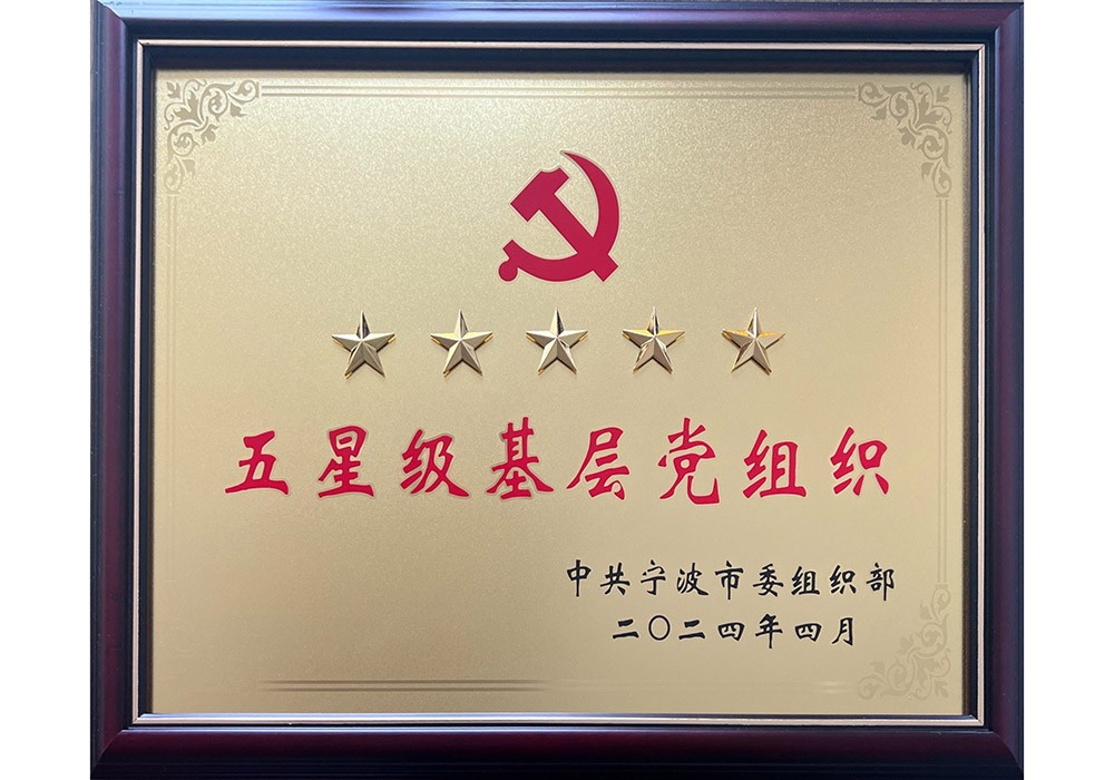 五星级基层党组织
